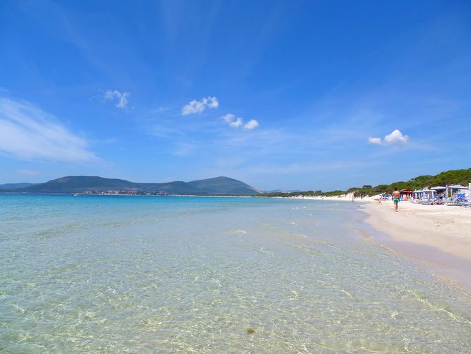 Alghero, nasce nel litorale di Maria Pia la prima dog beach