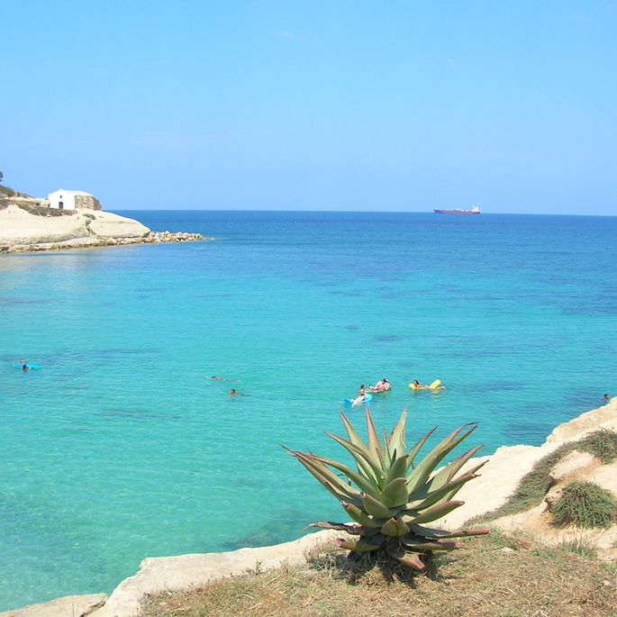 Festha Manna di Porto Torres: proposta per l'inserimento tra i grandi eventi della Sardegna
